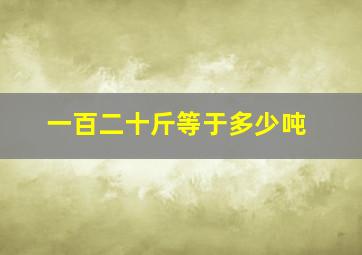 一百二十斤等于多少吨