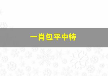 一肖包平中特