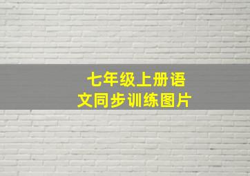 七年级上册语文同步训练图片