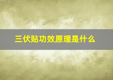 三伏贴功效原理是什么