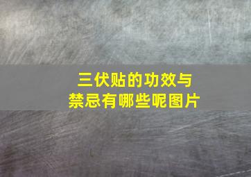 三伏贴的功效与禁忌有哪些呢图片