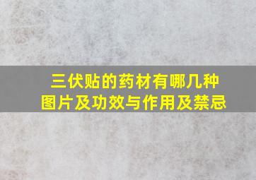 三伏贴的药材有哪几种图片及功效与作用及禁忌