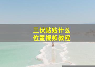 三伏贴贴什么位置视频教程