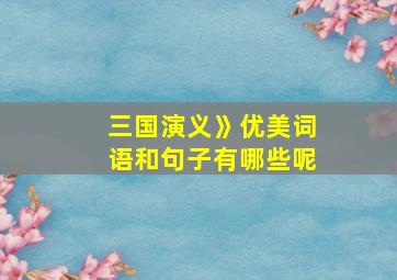 三国演义》优美词语和句子有哪些呢