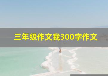 三年级作文我300字作文