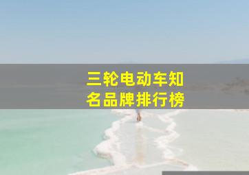 三轮电动车知名品牌排行榜