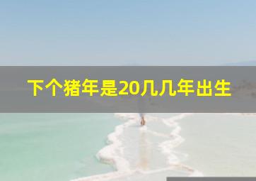 下个猪年是20几几年出生