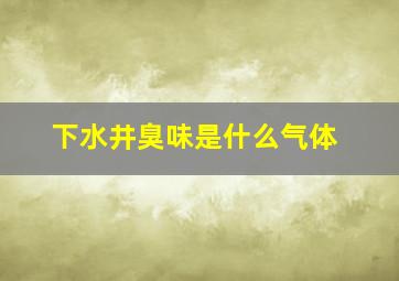 下水井臭味是什么气体