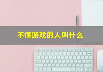 不懂游戏的人叫什么