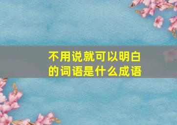 不用说就可以明白的词语是什么成语