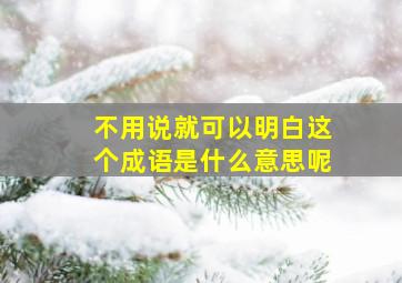 不用说就可以明白这个成语是什么意思呢