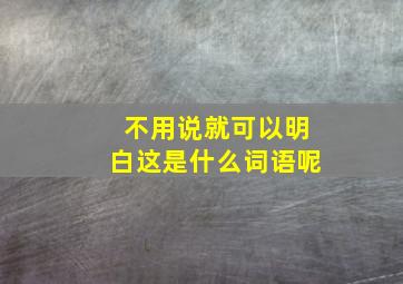 不用说就可以明白这是什么词语呢