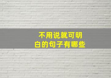 不用说就可明白的句子有哪些