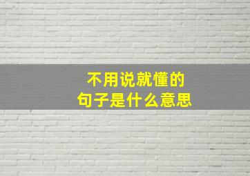 不用说就懂的句子是什么意思