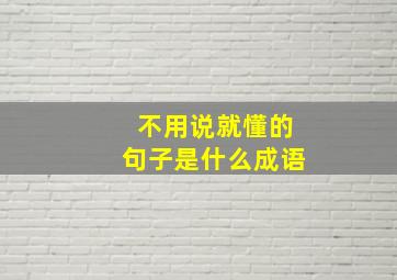 不用说就懂的句子是什么成语