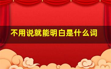 不用说就能明白是什么词