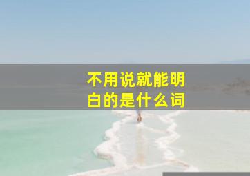 不用说就能明白的是什么词