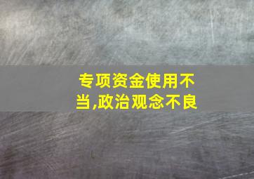 专项资金使用不当,政治观念不良