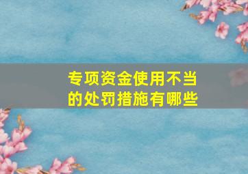 专项资金使用不当的处罚措施有哪些