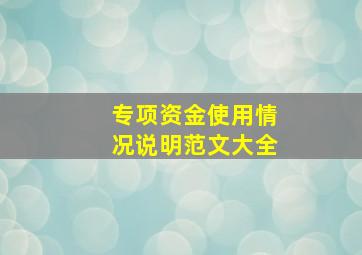 专项资金使用情况说明范文大全