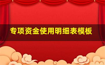 专项资金使用明细表模板