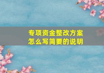 专项资金整改方案怎么写简要的说明