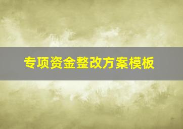 专项资金整改方案模板