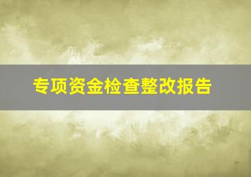 专项资金检查整改报告