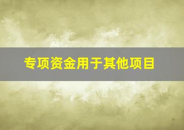 专项资金用于其他项目