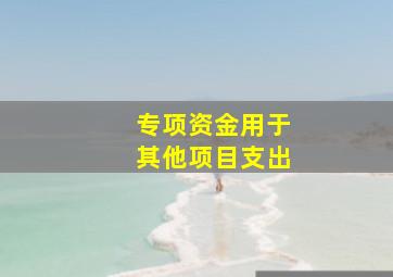 专项资金用于其他项目支出