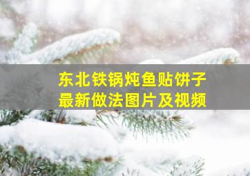 东北铁锅炖鱼贴饼子最新做法图片及视频