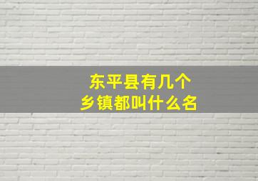 东平县有几个乡镇都叫什么名