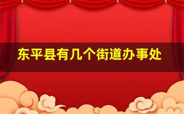 东平县有几个街道办事处