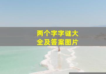 两个字字谜大全及答案图片