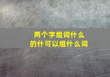 两个字组词什么的什可以组什么词