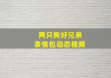 两只狗好兄弟表情包动态视频