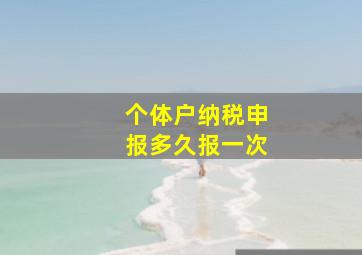 个体户纳税申报多久报一次