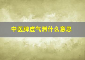 中医脾虚气滞什么意思