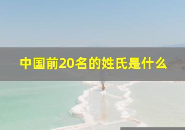 中国前20名的姓氏是什么