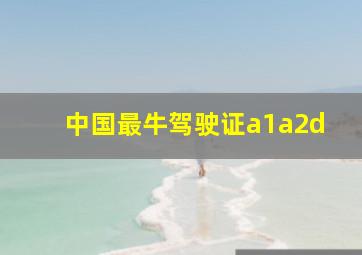 中国最牛驾驶证a1a2d