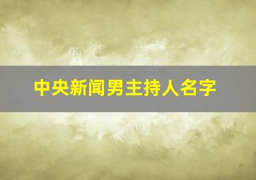 中央新闻男主持人名字