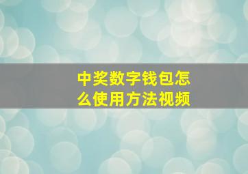 中奖数字钱包怎么使用方法视频