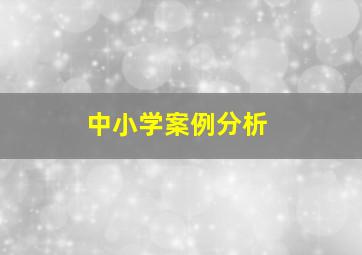 中小学案例分析