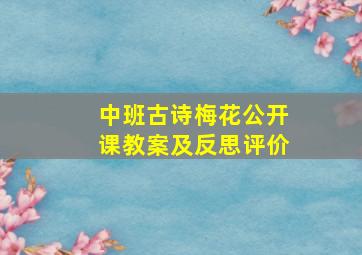 中班古诗梅花公开课教案及反思评价