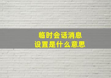 临时会话消息设置是什么意思