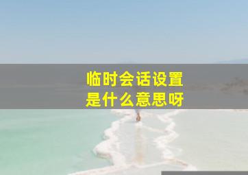 临时会话设置是什么意思呀