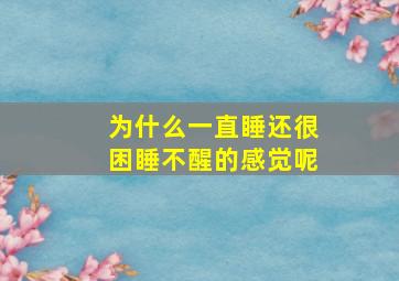 为什么一直睡还很困睡不醒的感觉呢