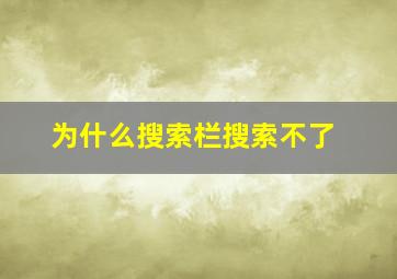 为什么搜索栏搜索不了