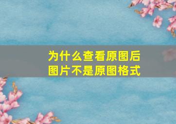 为什么查看原图后图片不是原图格式