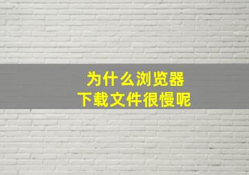 为什么浏览器下载文件很慢呢